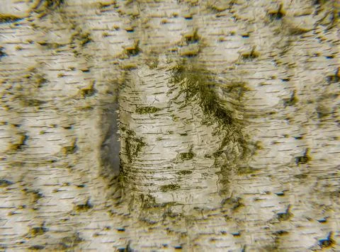 Various backgrounds obtained with multiple exposure Stock Photos