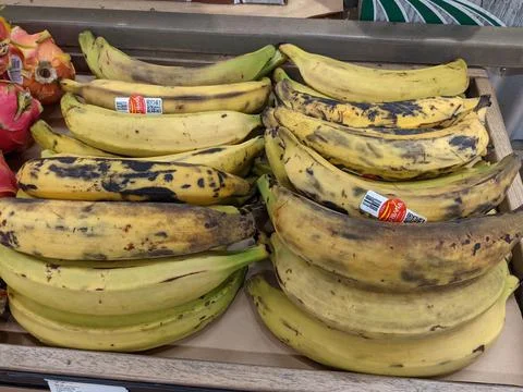 Various Bananas Available for Purchase Fotos de archivo