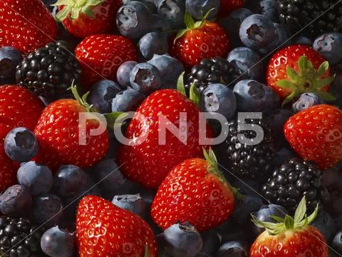 Various Berries (Full Frame)