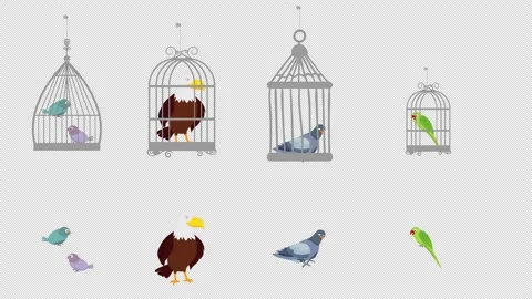 Various Birds Animation with Transparent Background. Multiple bird species flyin Stock Footage 325498805