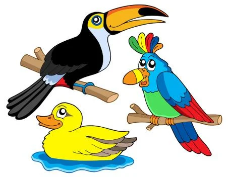 Various birds collection  Stock Illustration