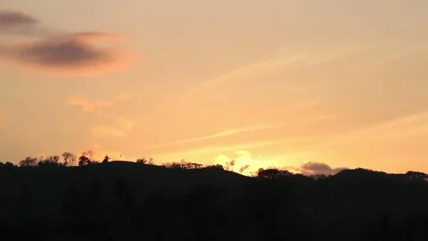 Various birds fly in the fields, mountains and other places in the morning Stock Footage 237050915