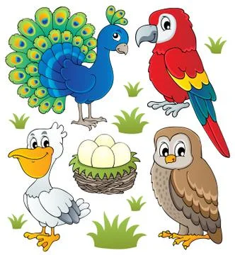 Various birds theme set - illustration. Stock Illustration