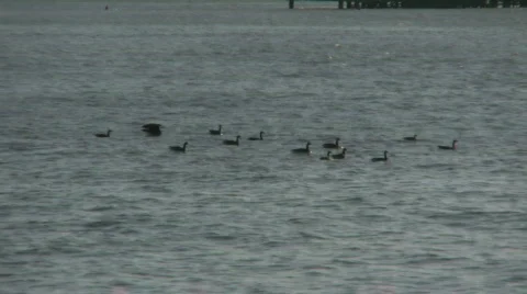 Various bodies of water Stock Footage 698150
