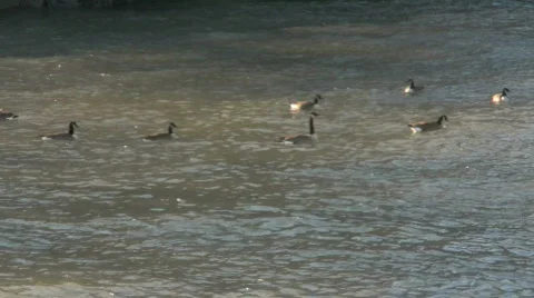 Various bodies of water Stock Footage 698153