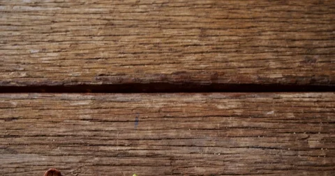 Various breakfast in a spoon 4k Stock Footage 88904004