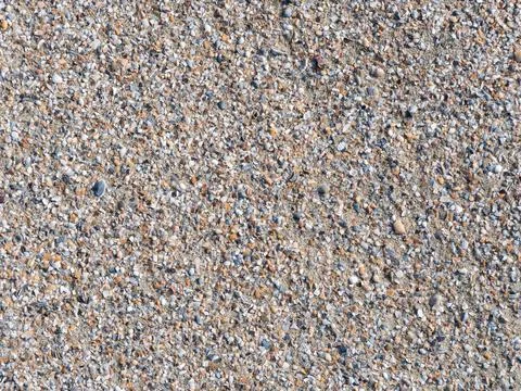 Various broken seashells fragments on the sandy beach. Background texture wit Stock Photos