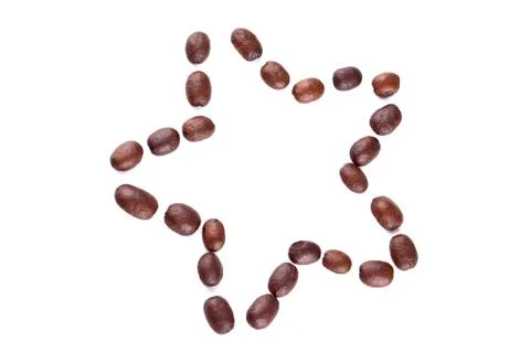 Various brown beans Stock Photos