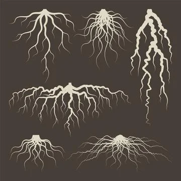 Various brown tree or shrub roots. Parts of plant, root system with tree stump Stock Illustration