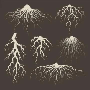 Various brown tree or shrub roots. Parts of plant, root system with tree stump Stock Illustration