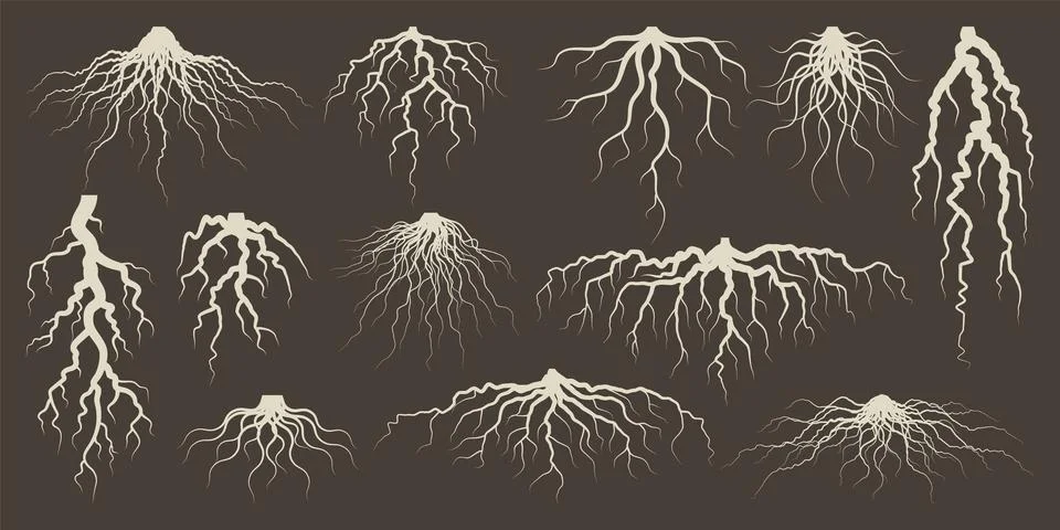 Various brown tree or shrub roots. Parts of plant, root system with tree stump Stock Illustration