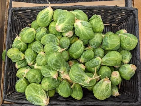 Various Brussel Sprouts Available for Purchase Fotos de archivo