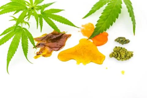 Various Cannabis CBD and THC Shatter rosin extracts with Hemp flowers and lea Stock Photos
