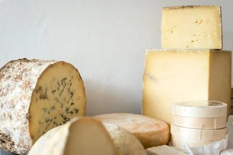 Various cheeses Stock Photos
