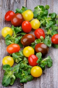 Various Cherry Tomatoes Stock Photos