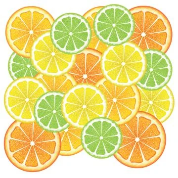 Various Citrus Slices 스톡 일러스트