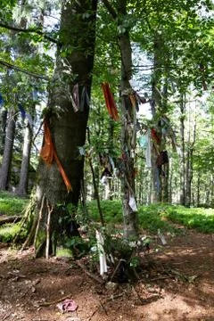 Various collected garbage from forest hanging in a tree with medical mask and Stock Photos