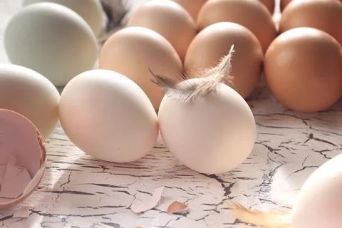 Various Color of Egg on Rustic White Table Stock Photos