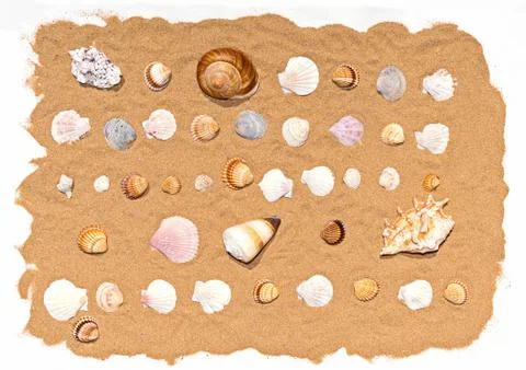 Various colored seashells lie in pattern on sand Stock Photos