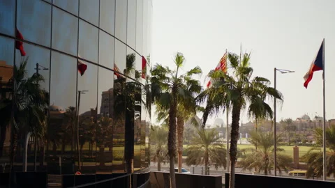Various Countries Flags in Abu Dhabi near a Big Building With Palm Trees Vídeos de archivo 287414307