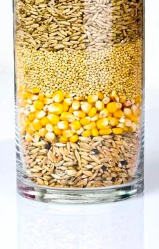 Various crops in the yar Stock Photos