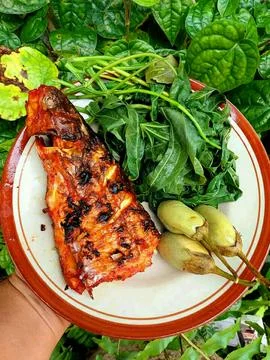 Various culinary dishes #4 Stock Photos