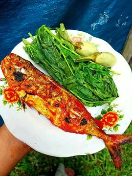 Various culinary dishes #6 Stock Photos