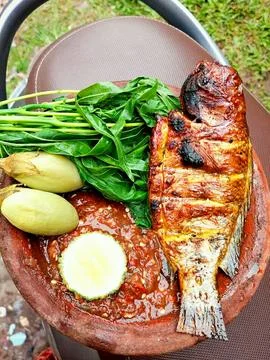 Various culinary dishes #8 Stock Photos