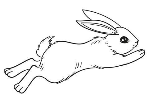 Various cute bunnies, spring, easter bunny in sketch style. Rabbit sits, sleeps Stock Illustration