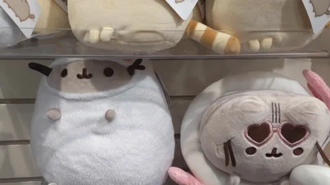 Various Cute Cat Plushies Stock Footage 146668289