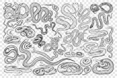 Various dangerous snakes doodle set Illustrazione stock