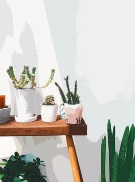 Various designs of pots and cacti set on a table to receive sunlight Stock Illustration