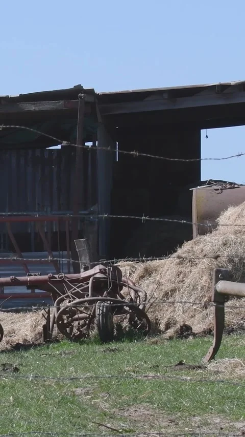 Various devices for plowing on a farm plot in a field under a canopy Vídeos de archivo 310495750