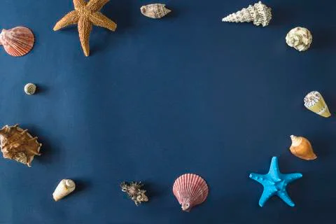 Various differtne seashells and starfishes on blue background. Space for text Stock Photos