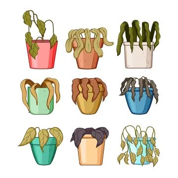 Various dying potted plants indicating neglect and poor care Stock Illustration