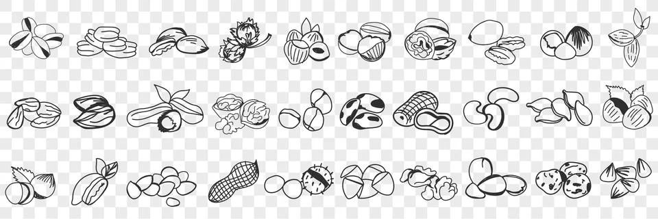 Various edible nut doodle set 스톡 일러스트