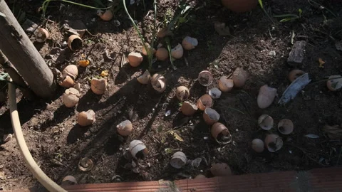 Various egg shells on the floor seen from above Stock Footage