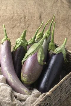 Various eggplants in a basket. Stock Photos