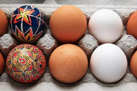 Various eggs in a carton Stock Photos