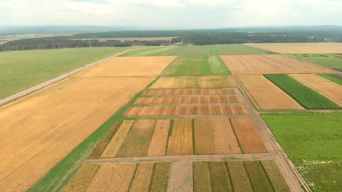 Various field sections of green and brown colors. Agricultural landscape. Stock Footage 140633793