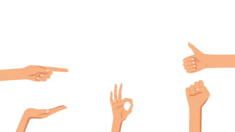 Various Finger Pack Background Stock Footage 288531114