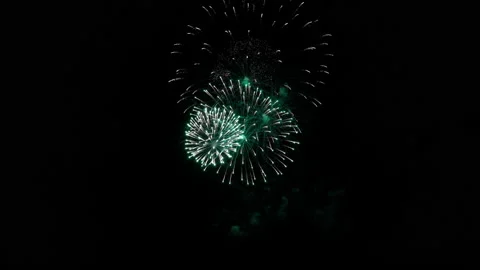 Various fireworks on the black night sky. Video in 4k resolution. Stock Footage 196236476