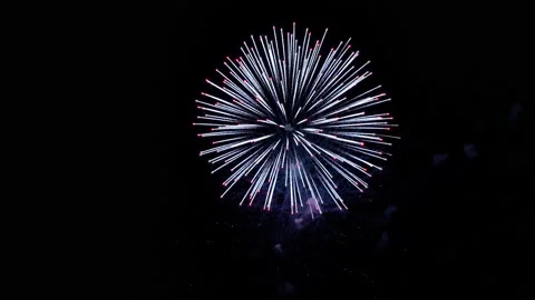 Various fireworks on the black night sky. Video in 4k resolution. Stock Footage 196236512