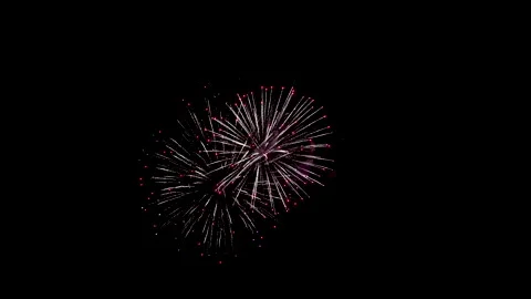 Various fireworks on the black night sky. Video in 4k resolution. Stock Footage 196236521