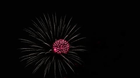 Various fireworks on the black night sky. Video in 4k resolution. Stock Footage 196236637
