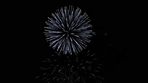 Various fireworks on the black night sky. Video in 4k resolution. Stock Footage 196236756