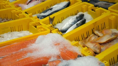 Various Fish and seafood in  yellow boxes at a local market Stock Footage 88166583