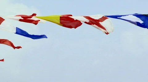 Various flags Stock Footage 619393