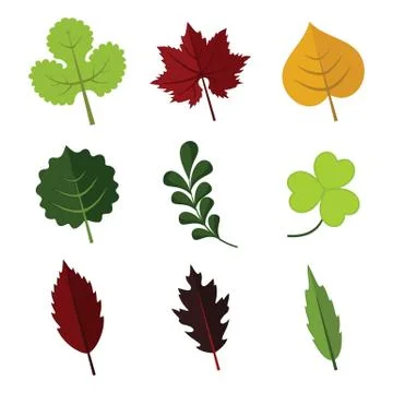Various Floral Element Leaves Vector Illustration Graphic Set Stock Illustration