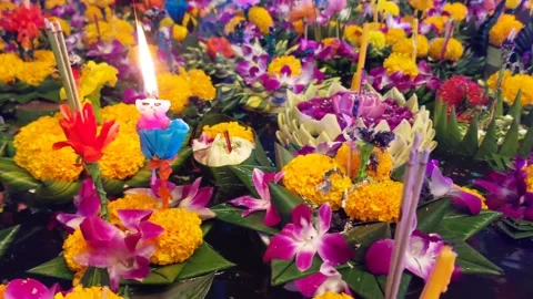Various flower floats Stock Footage 293462292